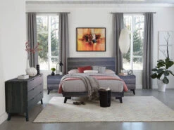 Daisy King 3 Pcs Set