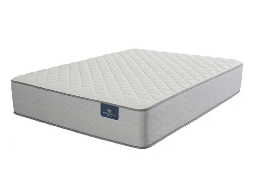 Presidential Suite Firm 2 Sided Queen Mattress