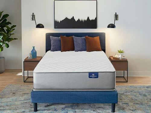 Presidential Suite Firm 2 Sided Queen Mattress - Image 2