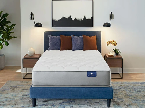 Presidential Suite Plush 2 Sided King Mattress - Image 2