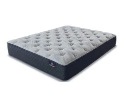 Chamblee Luxe Edition Firm Queen Mattress