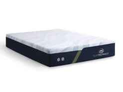 IComfort Eco F10 Medium King Mattress