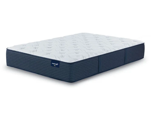 Dupont Hills Plush Queen Mattress