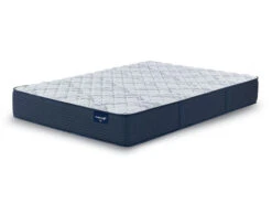 Dupont Hills Firm King Mattress