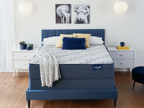 Dupont Hills Firm Queen Mattress - Image 2