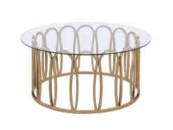 Chocolate Chromed Coffee Table