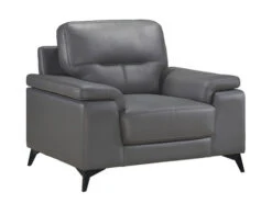 Seth Dark Gray Leather Match Chair