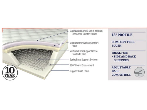 Shenandoah Plush Queen Mattress - Image 2