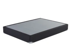 Coal Queen Foundation Regular Profile