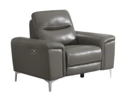 Alejah Gray Leather Power Recliner