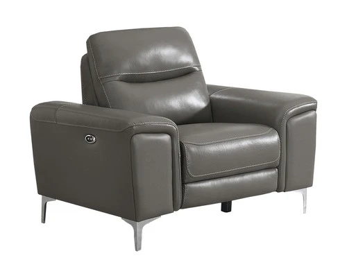 Alejah Gray Leather Power Recliner